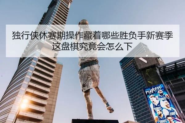 独行侠休赛期操作藏着哪些胜负手新赛季这盘棋究竟会怎么下